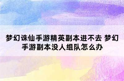 梦幻诛仙手游精英副本进不去 梦幻手游副本没人组队怎么办